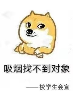 005M94J9ly4fxuedkn8z0j306o08cglo.jpg