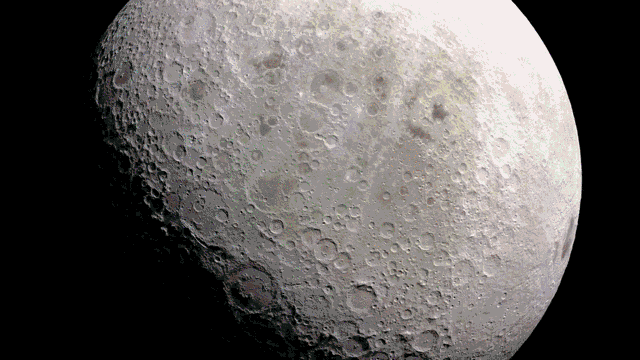 7.gif