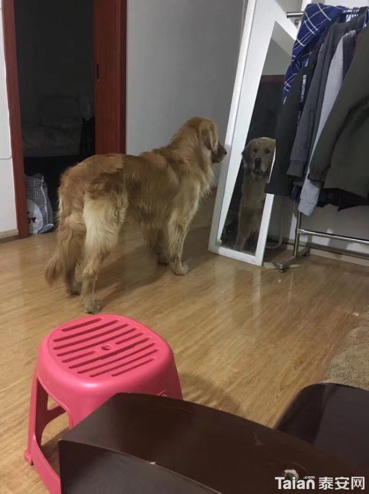 image.jpeg