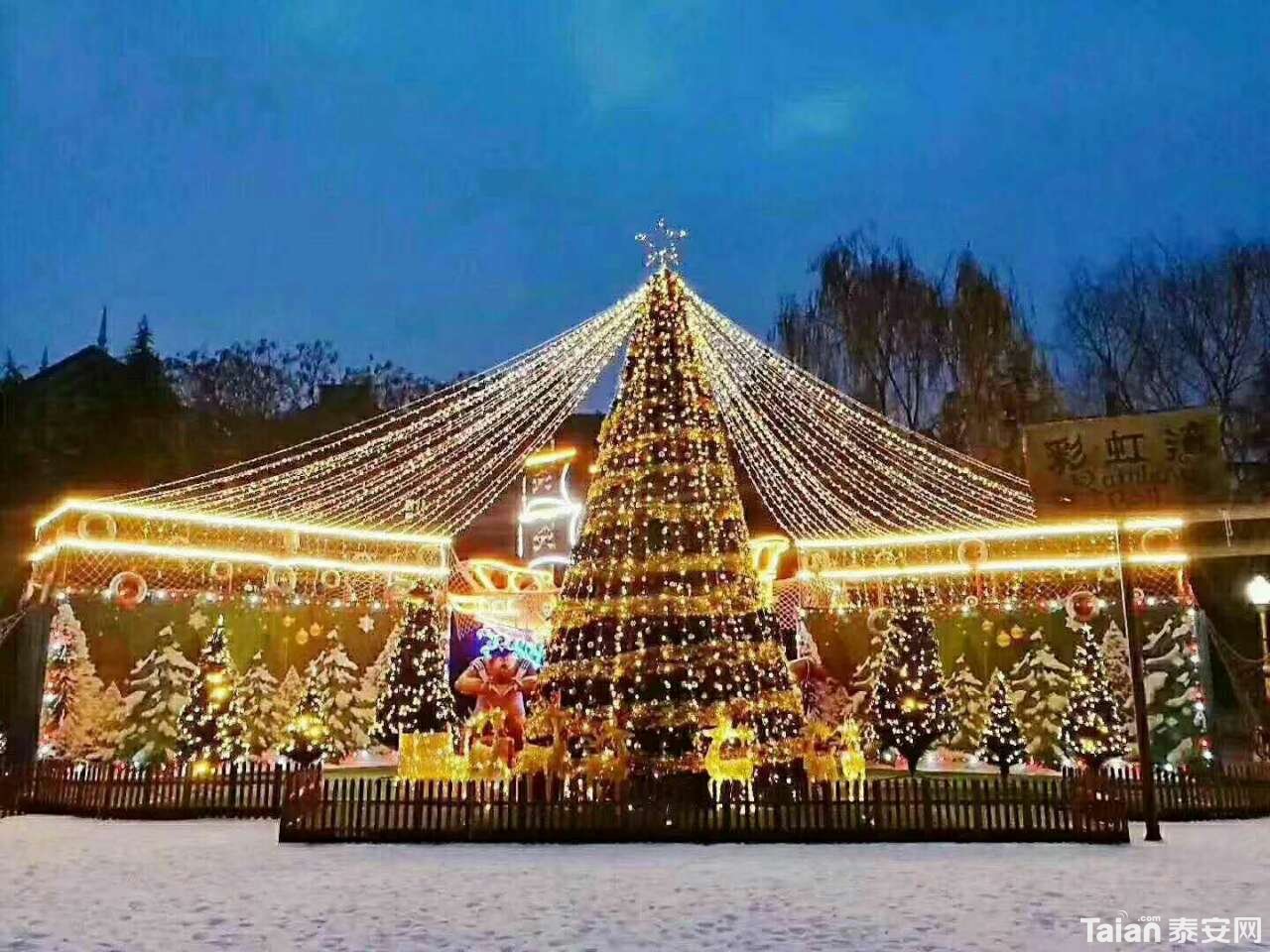 20181221_885312_1545375265139.jpg