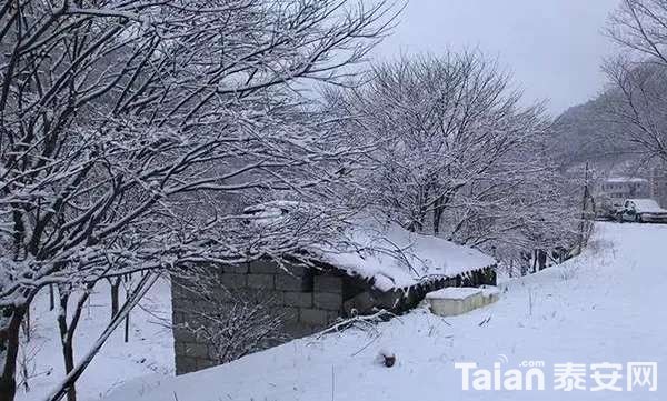 20181222_844987_1545452042067.jpg