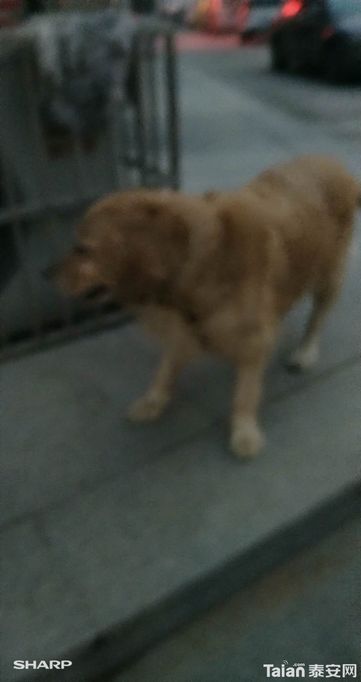 image.jpeg