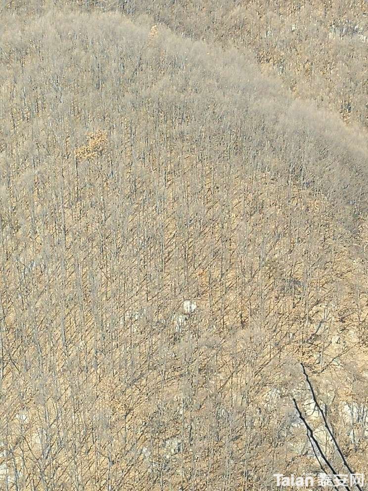 20181223_844987_1545549055088.jpg