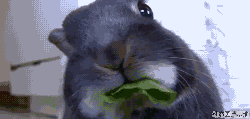 20181224_844987_1545635098791.gif