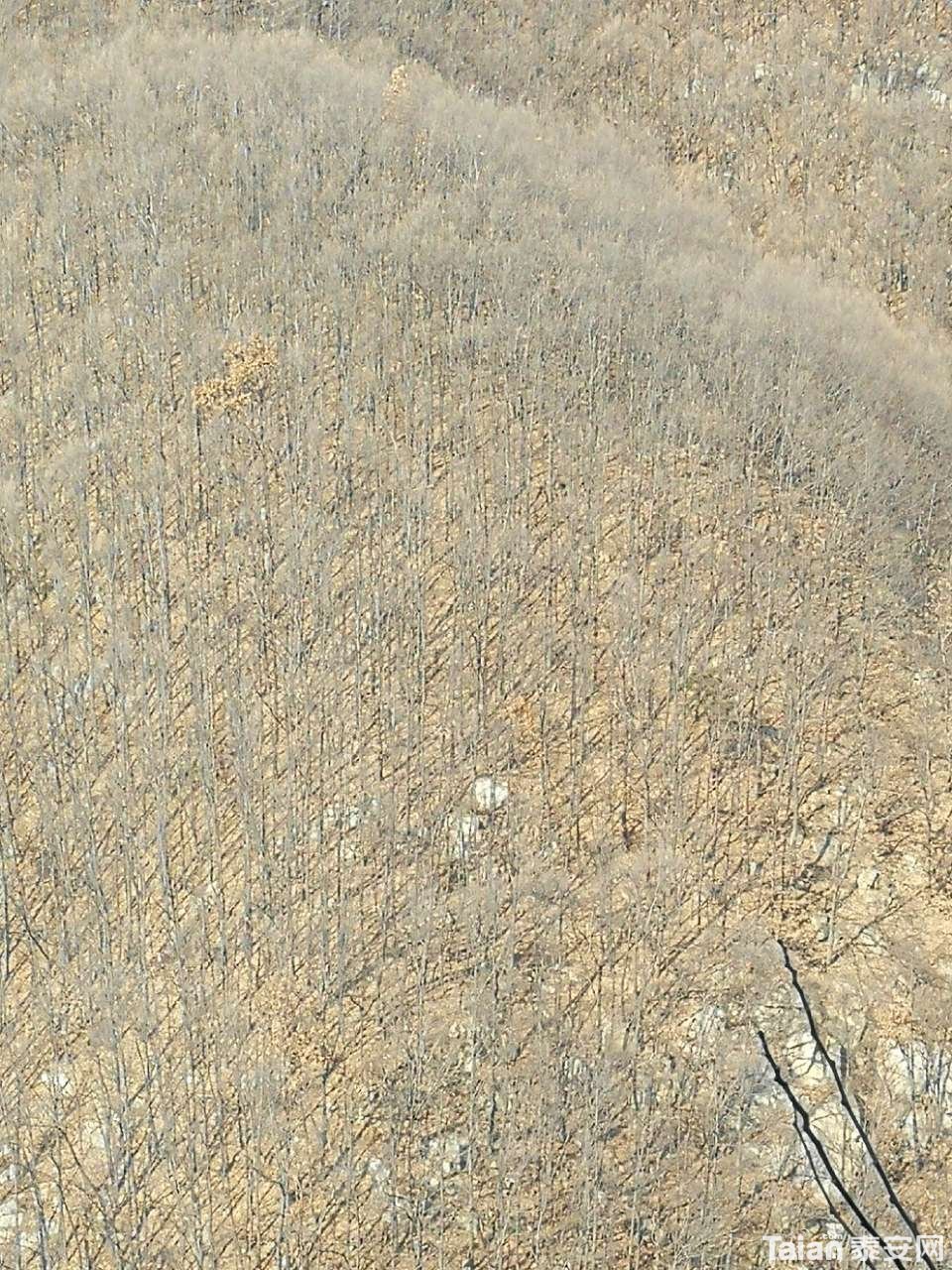 20181225_844987_1545719228271.jpg