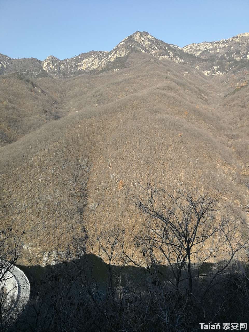 20181225_844987_1545719262864.jpg
