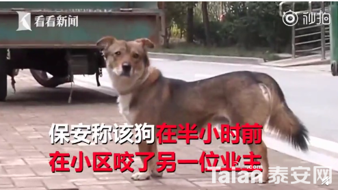QQ��ͼ20181225170150.png