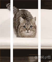 20190101_844987_1546344222852.gif