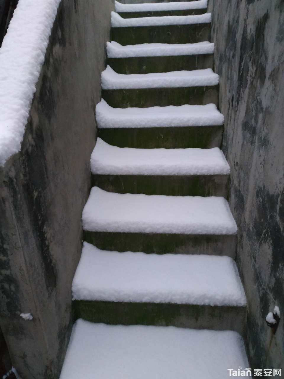 20190104_882721_1546565370384.jpg
