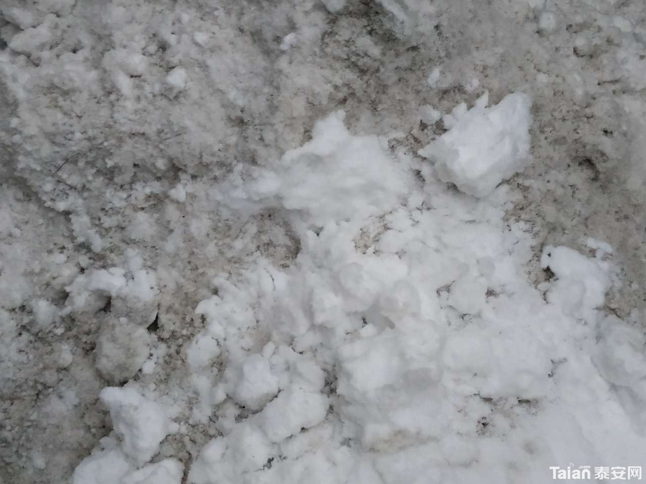 20190104_882721_1546565370751.jpg