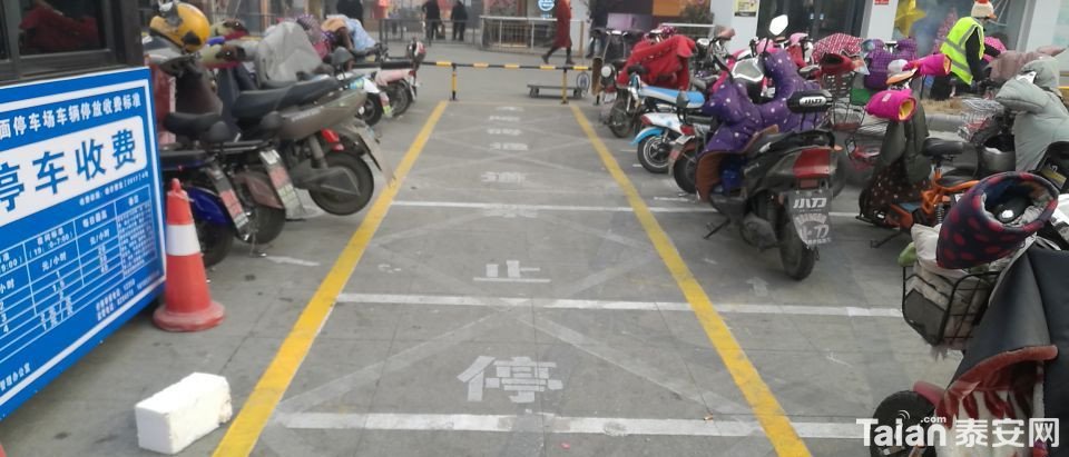 1547515446626_����.jpg