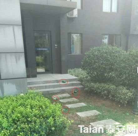 61ff32dejw1f7k2u72qgsj20c90c3dgk.jpg