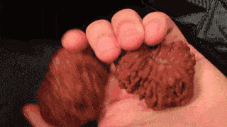 20190118_844987_1547822873134.gif