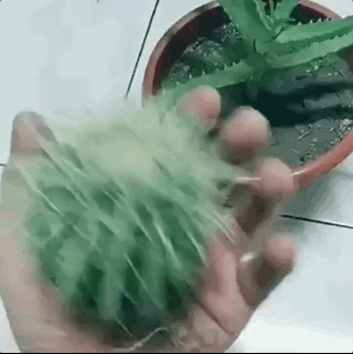 20190119_844987_1547870767893.gif
