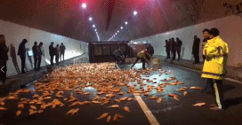 20190124_844987_1548285339929.gif