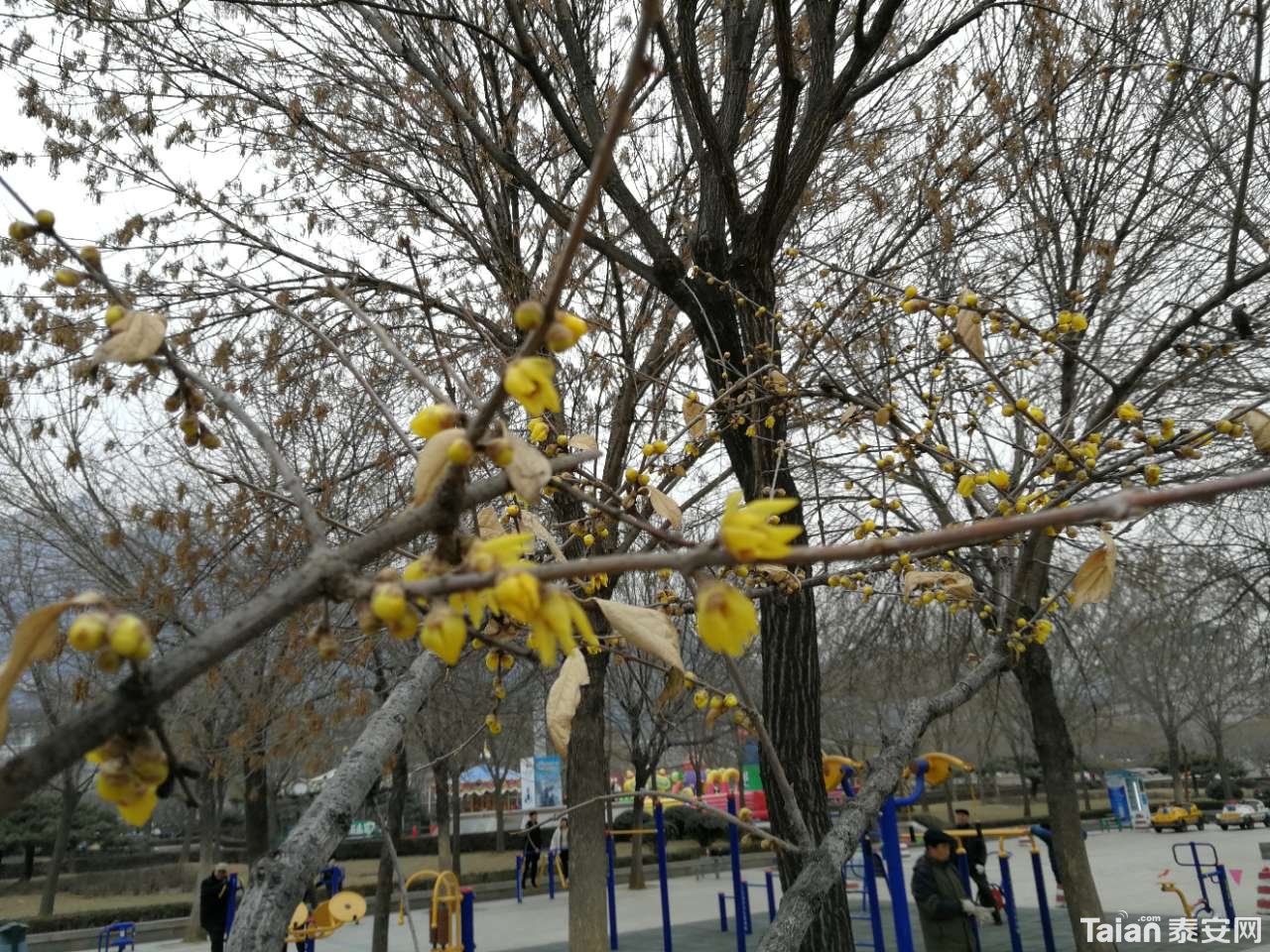 20190127_844987_1548578932196.jpg