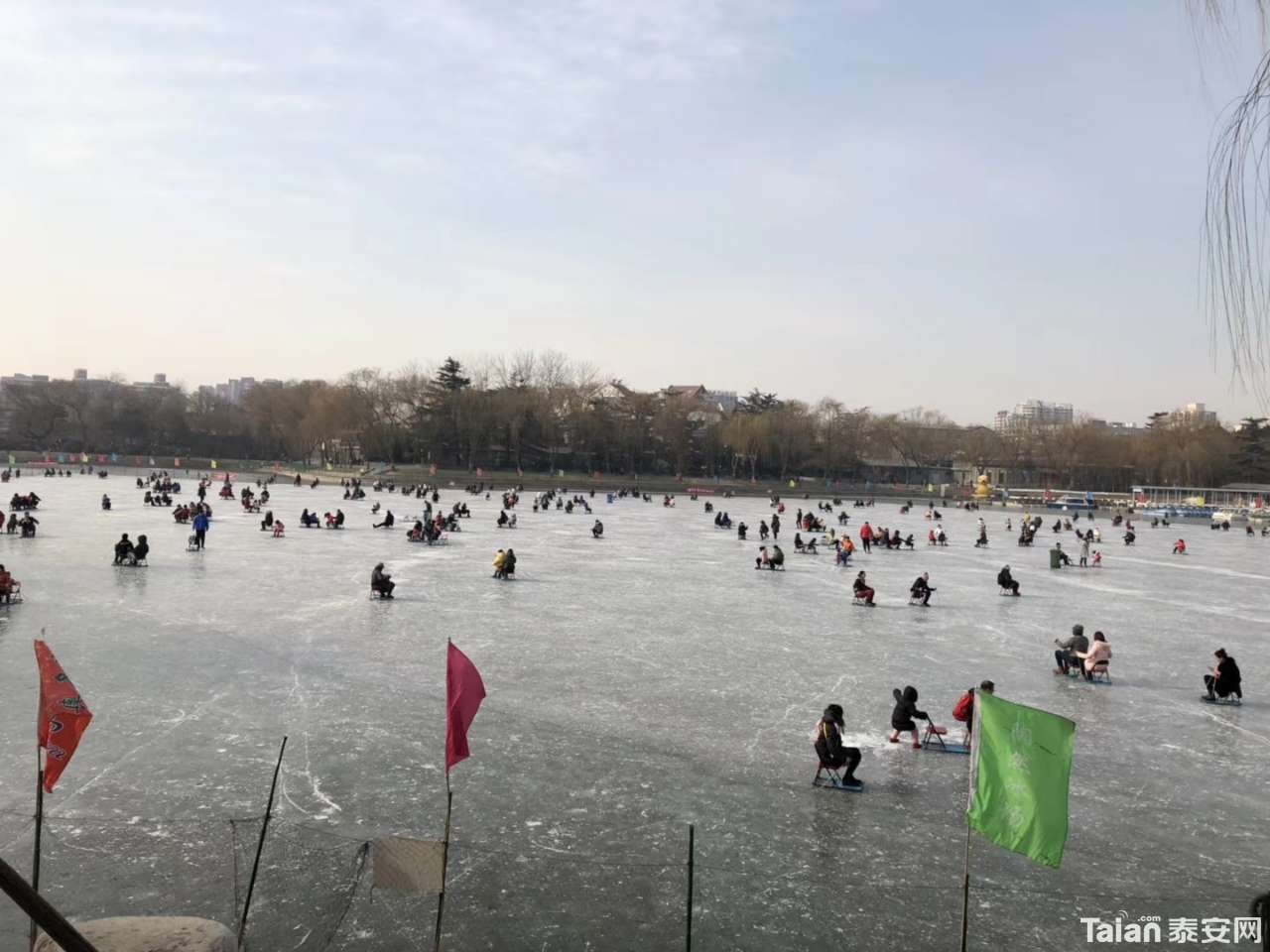 20190128_844987_1548649971296.jpg