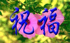1402131919eb3a1c35ed2a2825.gif