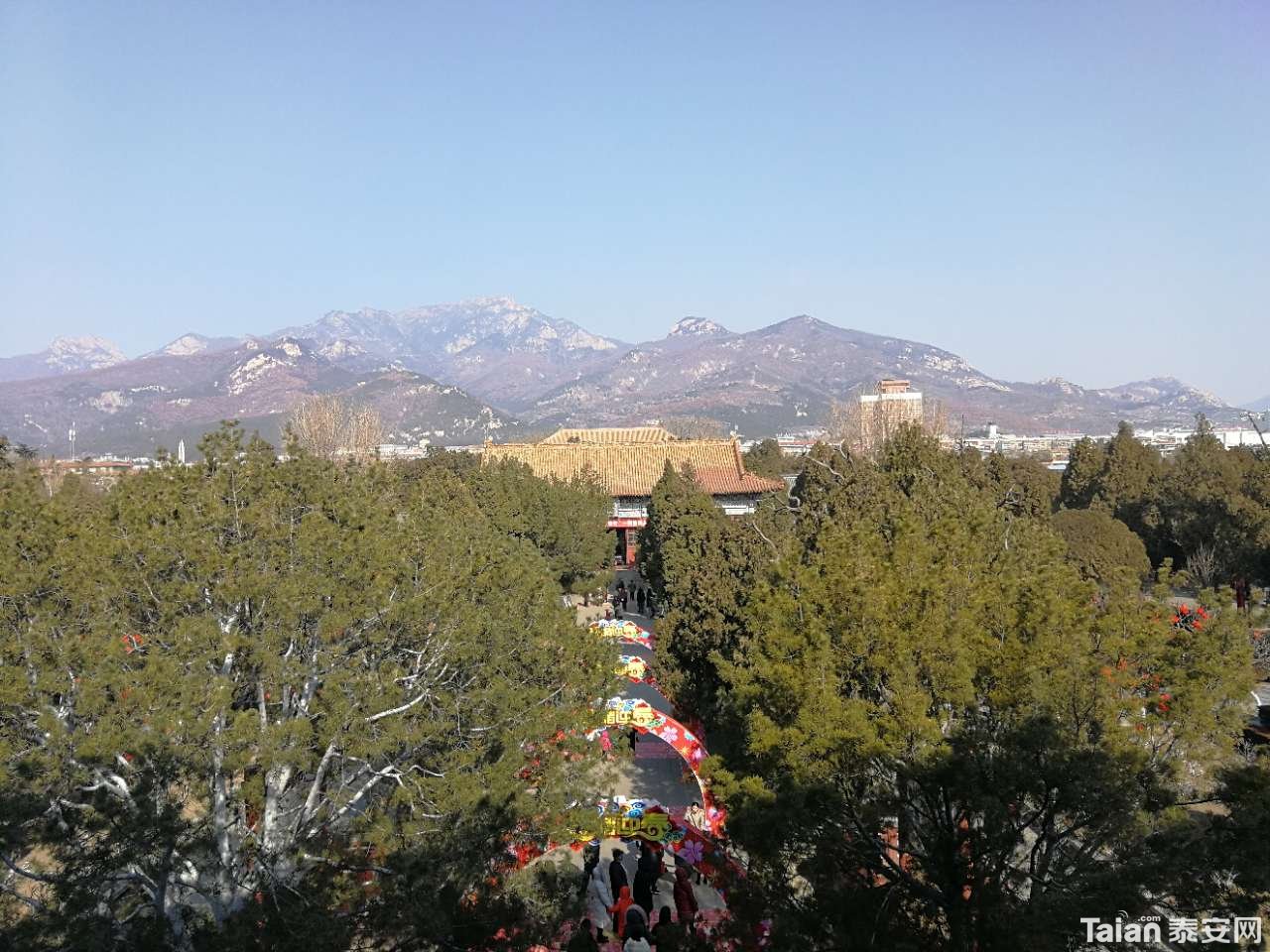 20190207_844987_1549519273568.jpg