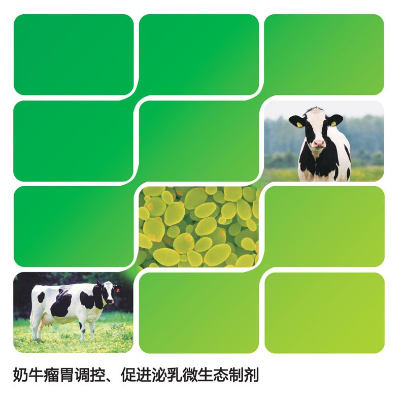 �����������谮2��
