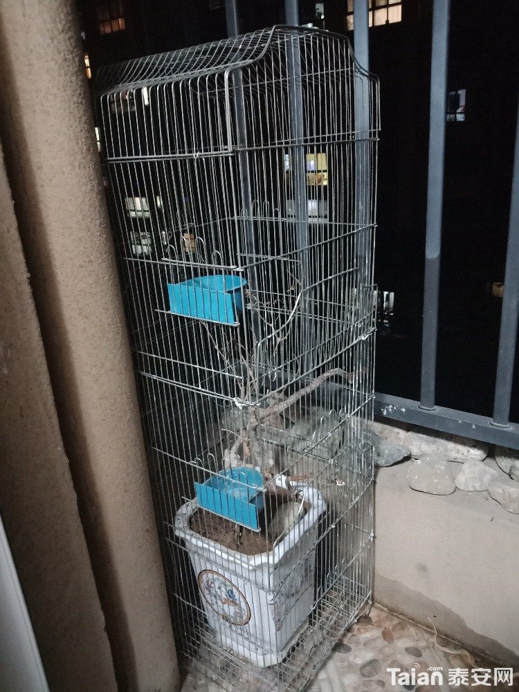 IMG20190310201343.jpg
