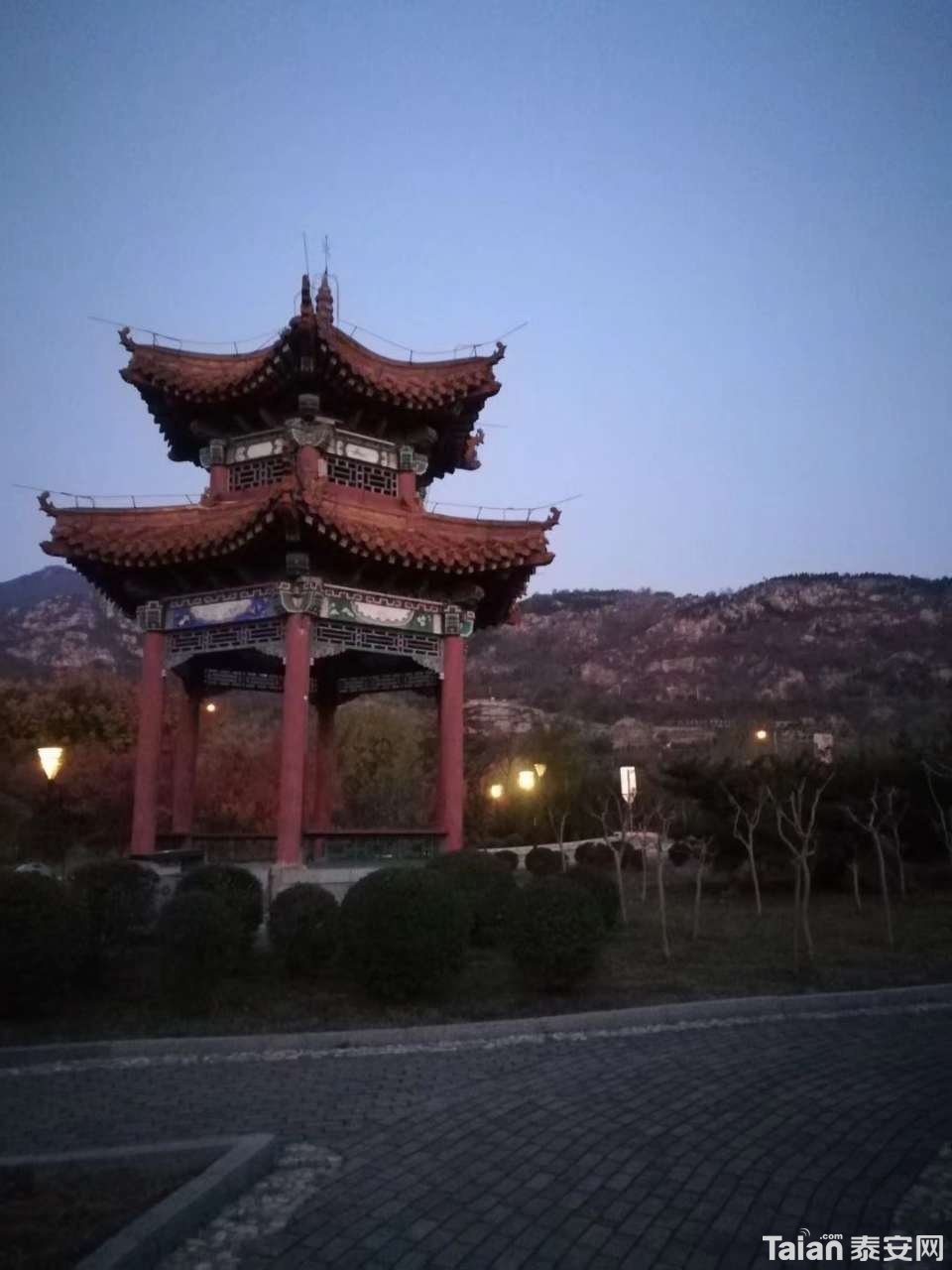 20190310_873967_1552216803630.jpg