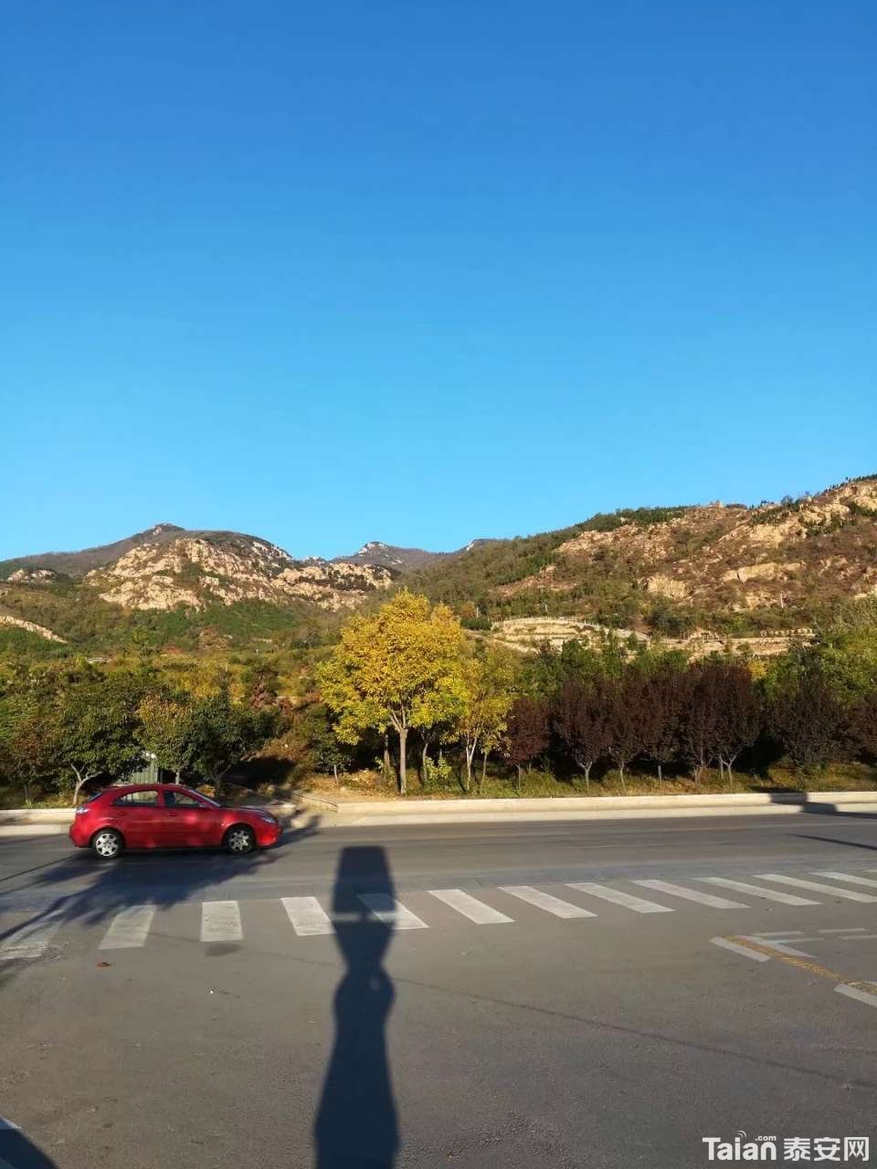 20190310_873967_1552216803447.jpg