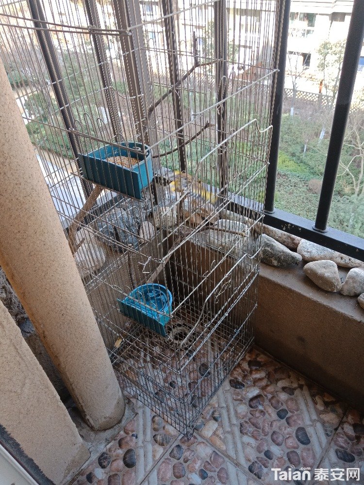 IMG20190311112356.jpg