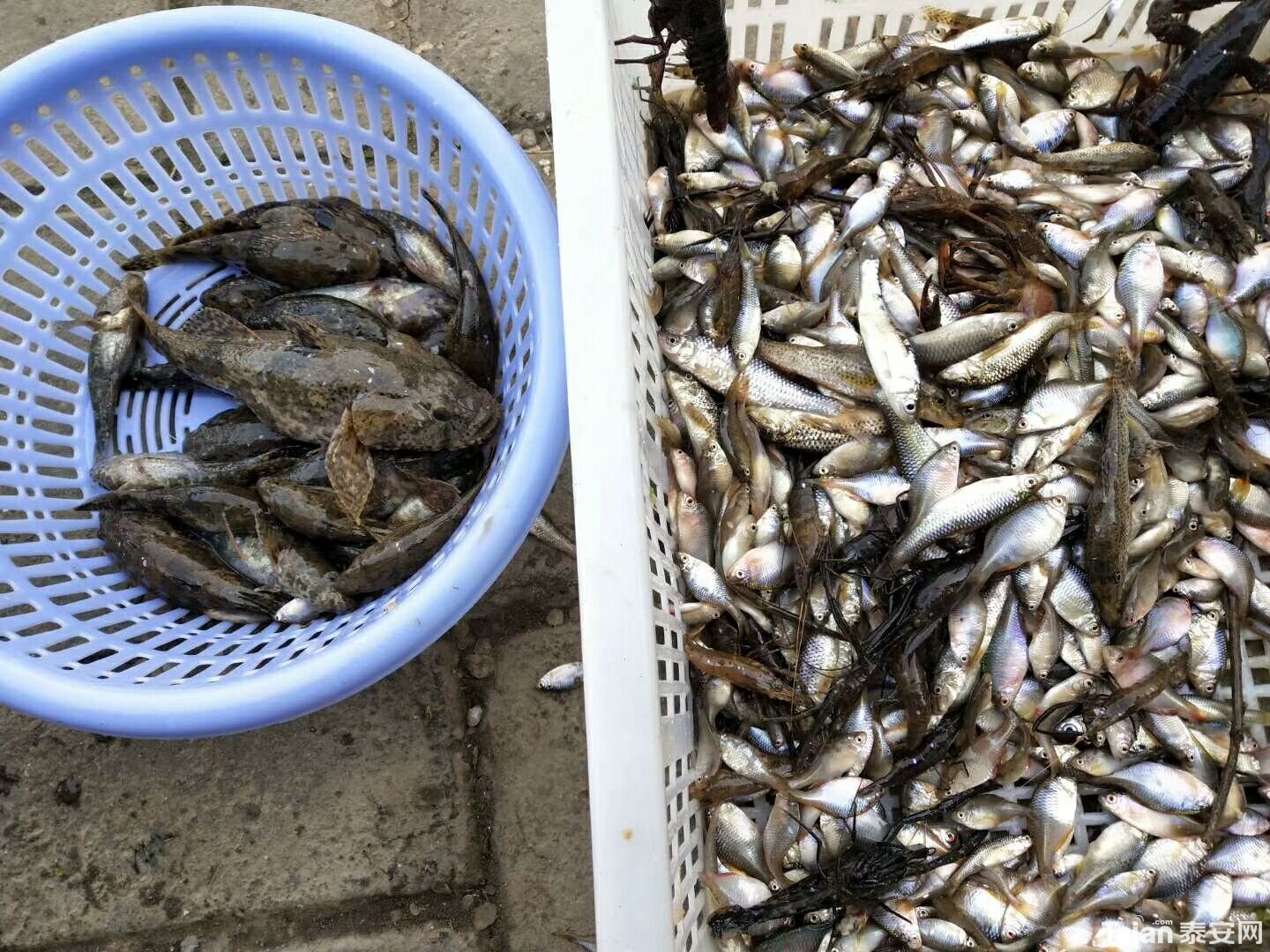 QQͼƬ20190312194125.jpg