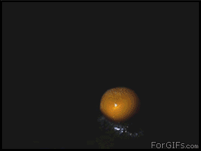 20190317_844987_1552795404711.gif