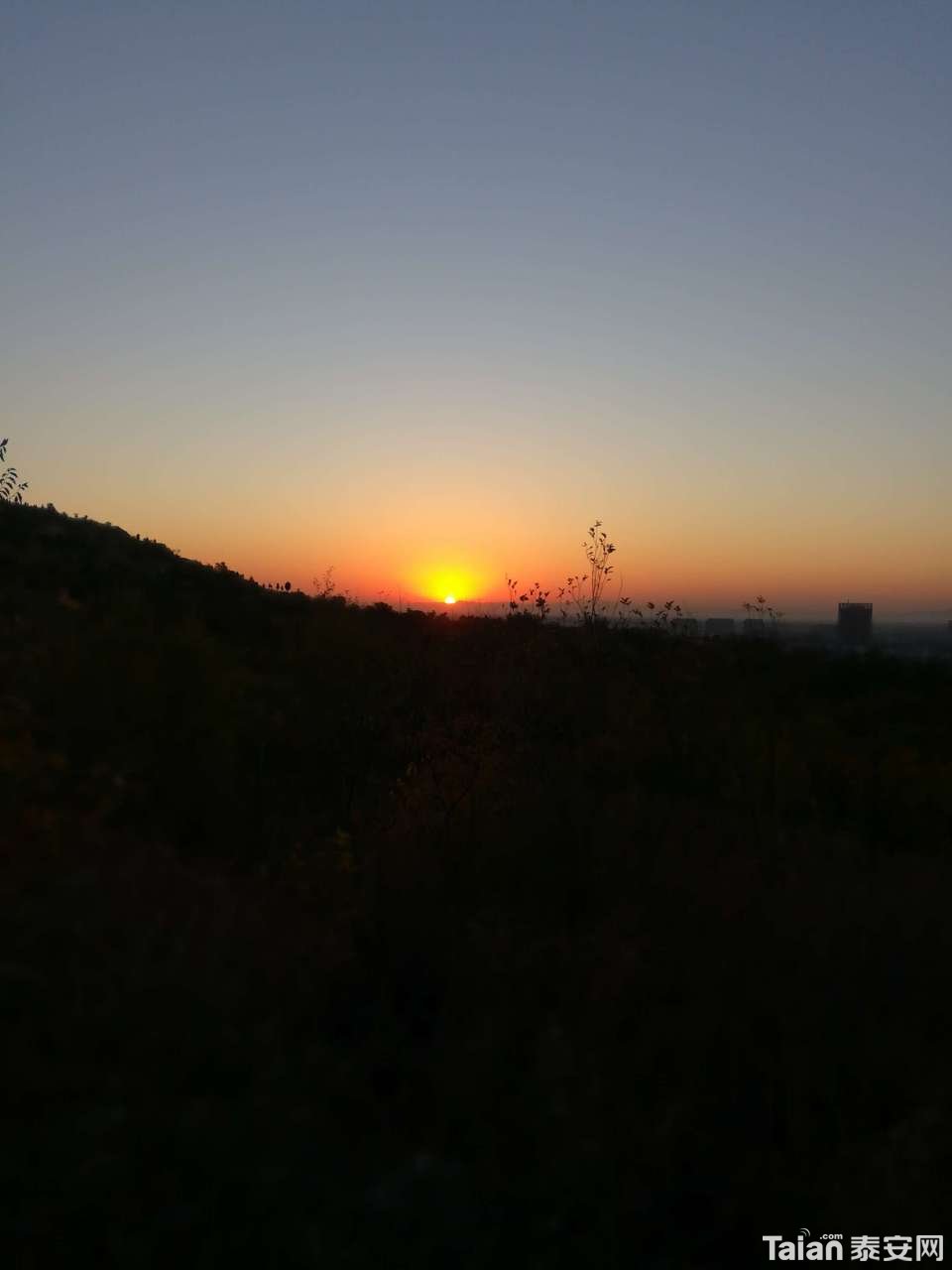 20190321_873967_1553130126757.jpg