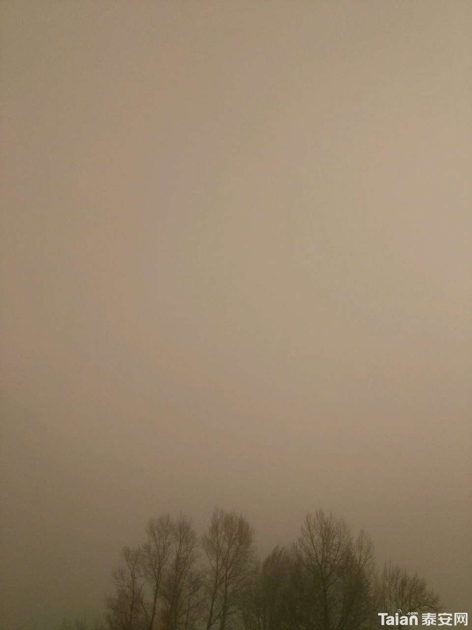 20190321_873967_1553130126596.jpg