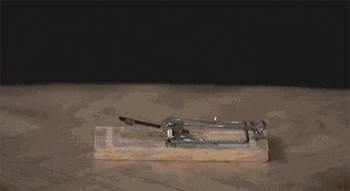20190321_844987_1553152422001.gif