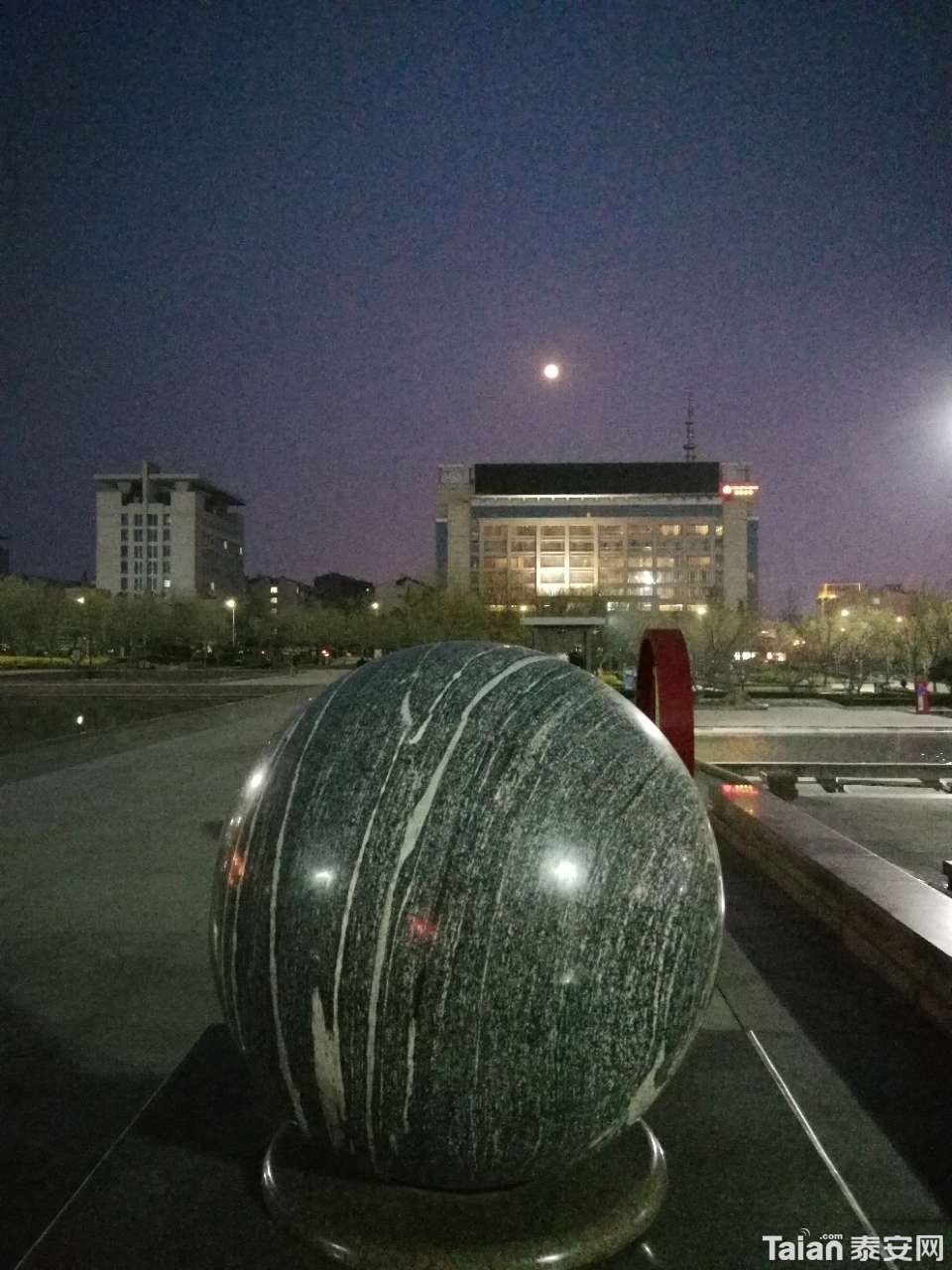 20190321_844987_1553171038862.jpg