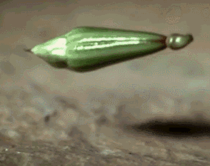 20190323_844987_1553346565587.gif