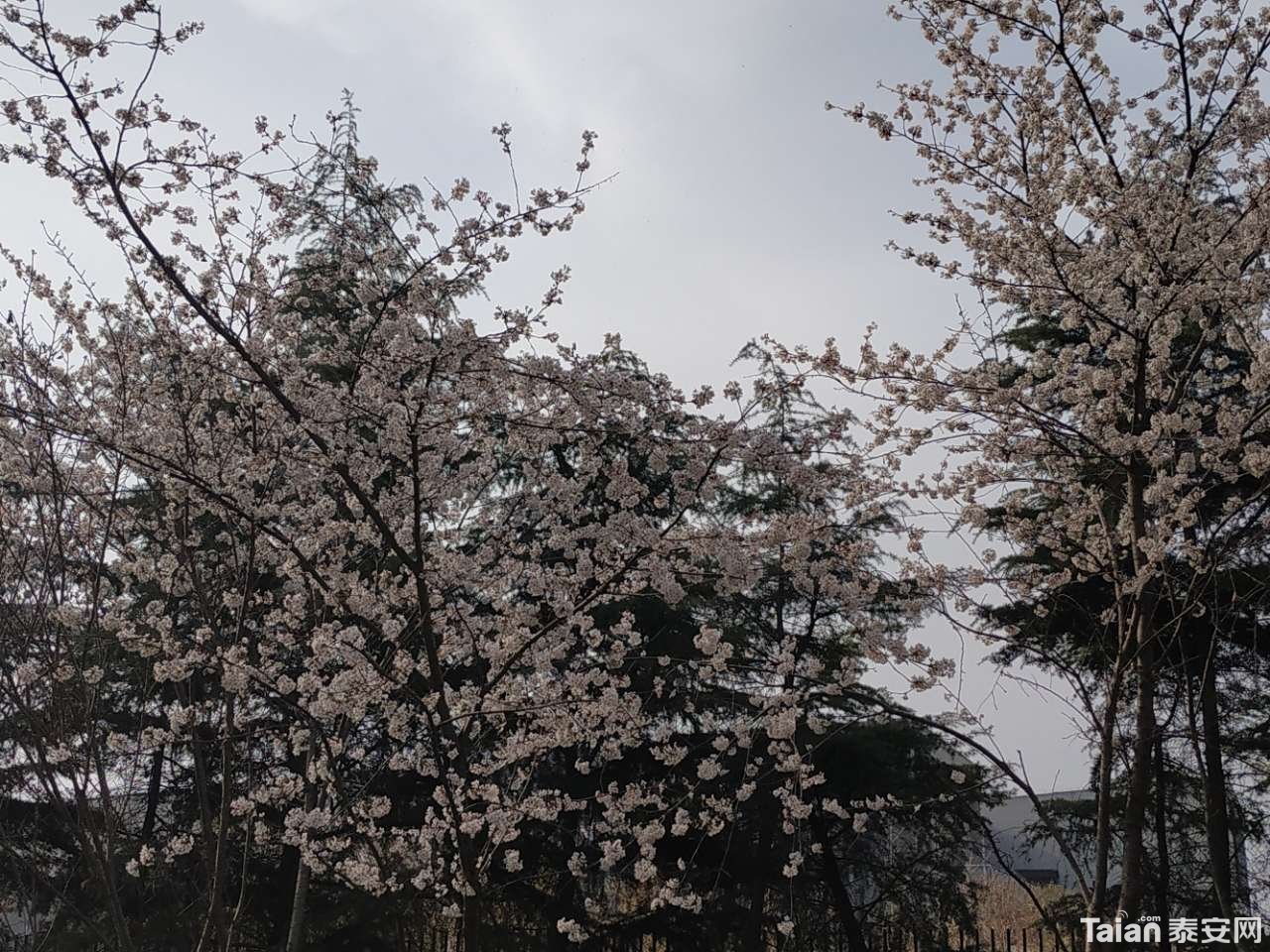20190327_882721_1553695371327.jpg