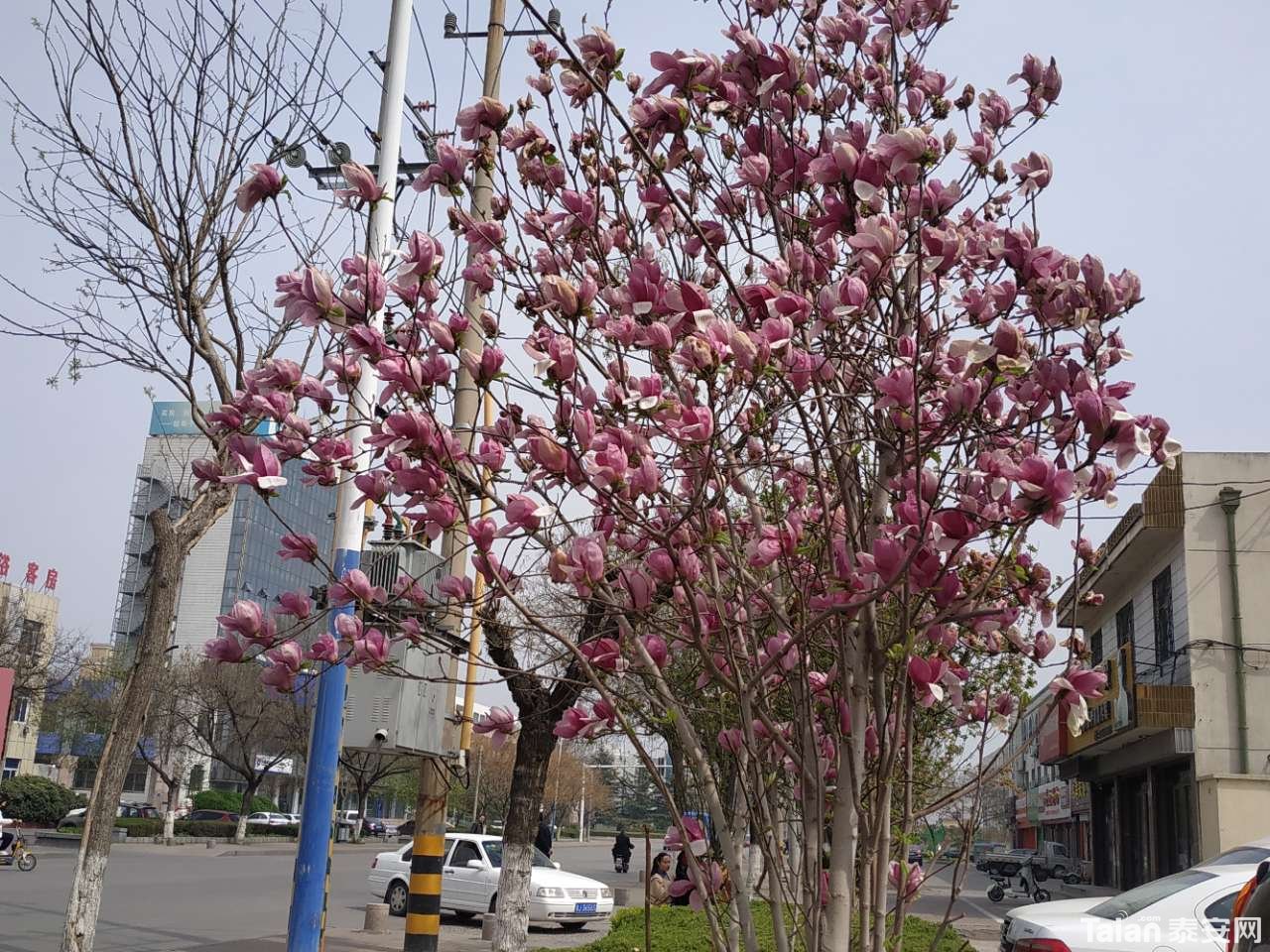 20190327_882721_1553695372092.jpg