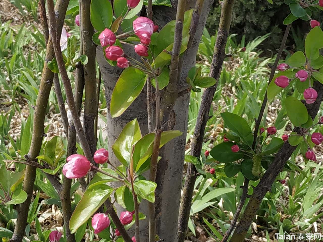 20190327_882721_1553695371731.jpg