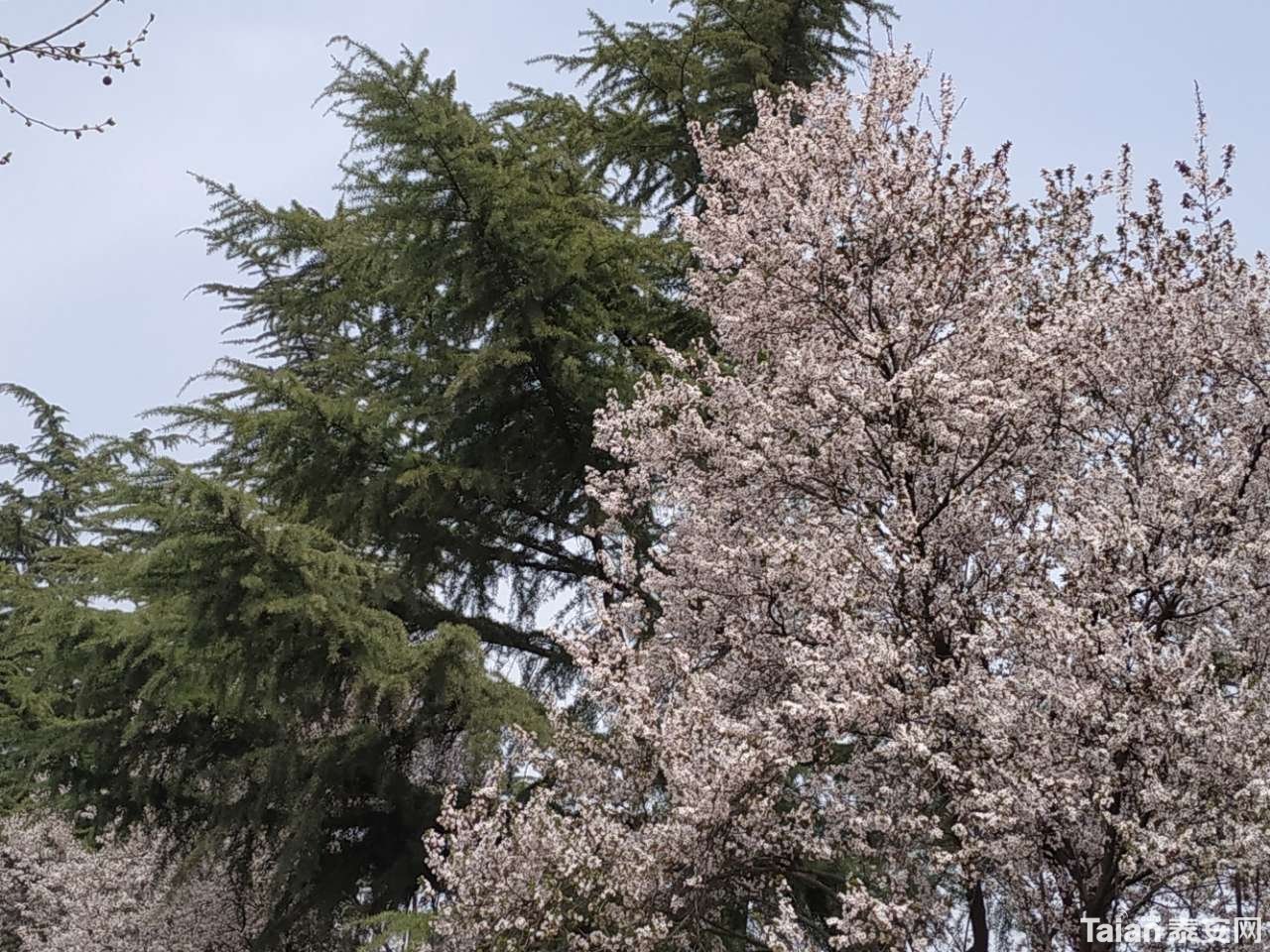 20190327_882721_1553695373221.jpg