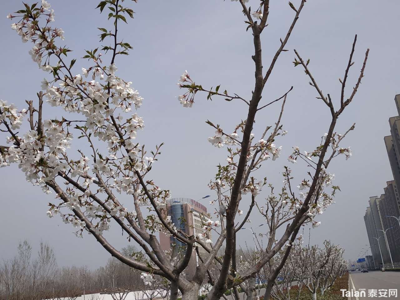 20190327_882721_1553695373605.jpg