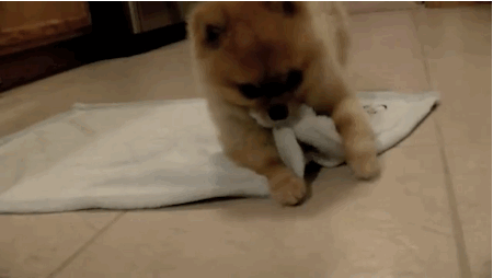20190329_844987_1553851596328.gif