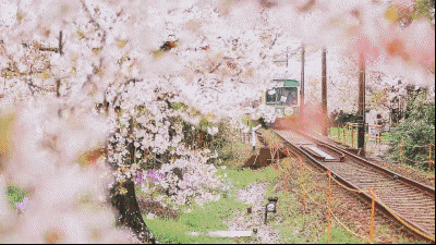 20190330_844987_1553922618483.gif