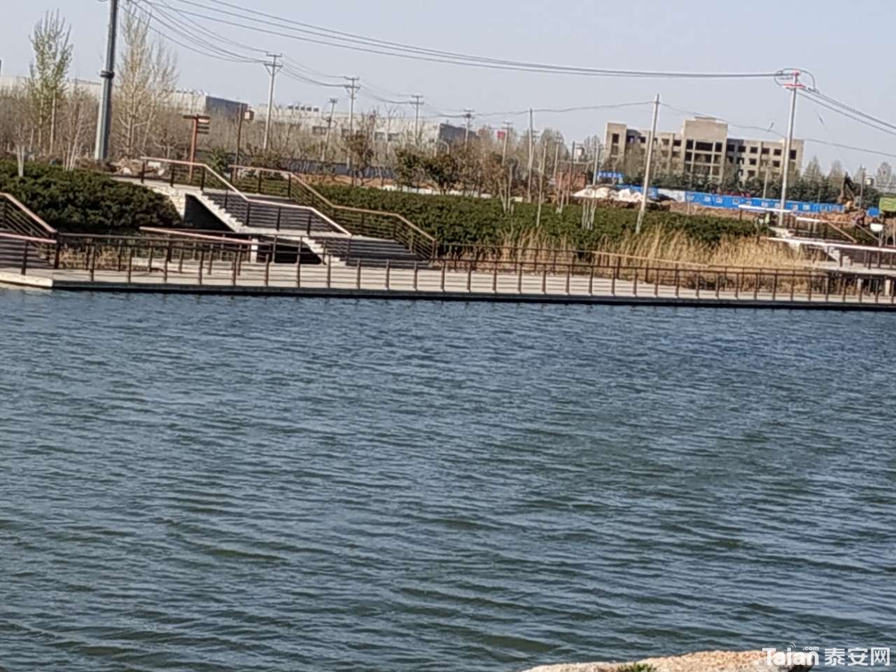 20190331_882721_1554003458412.jpg