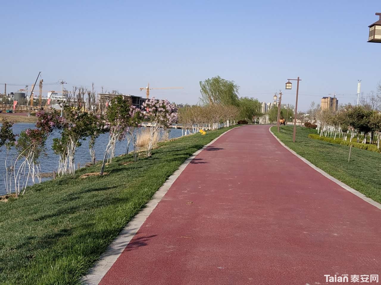 20190331_882721_1554003459175.jpg