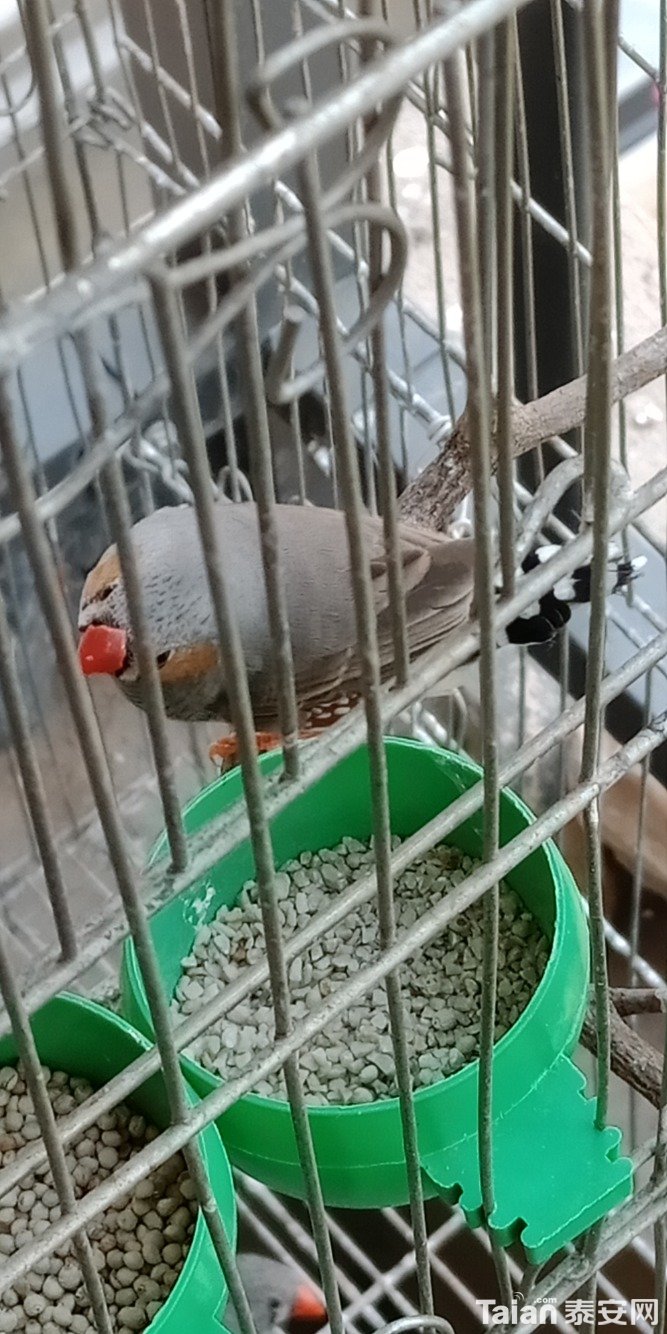 IMG20190404115500.jpg