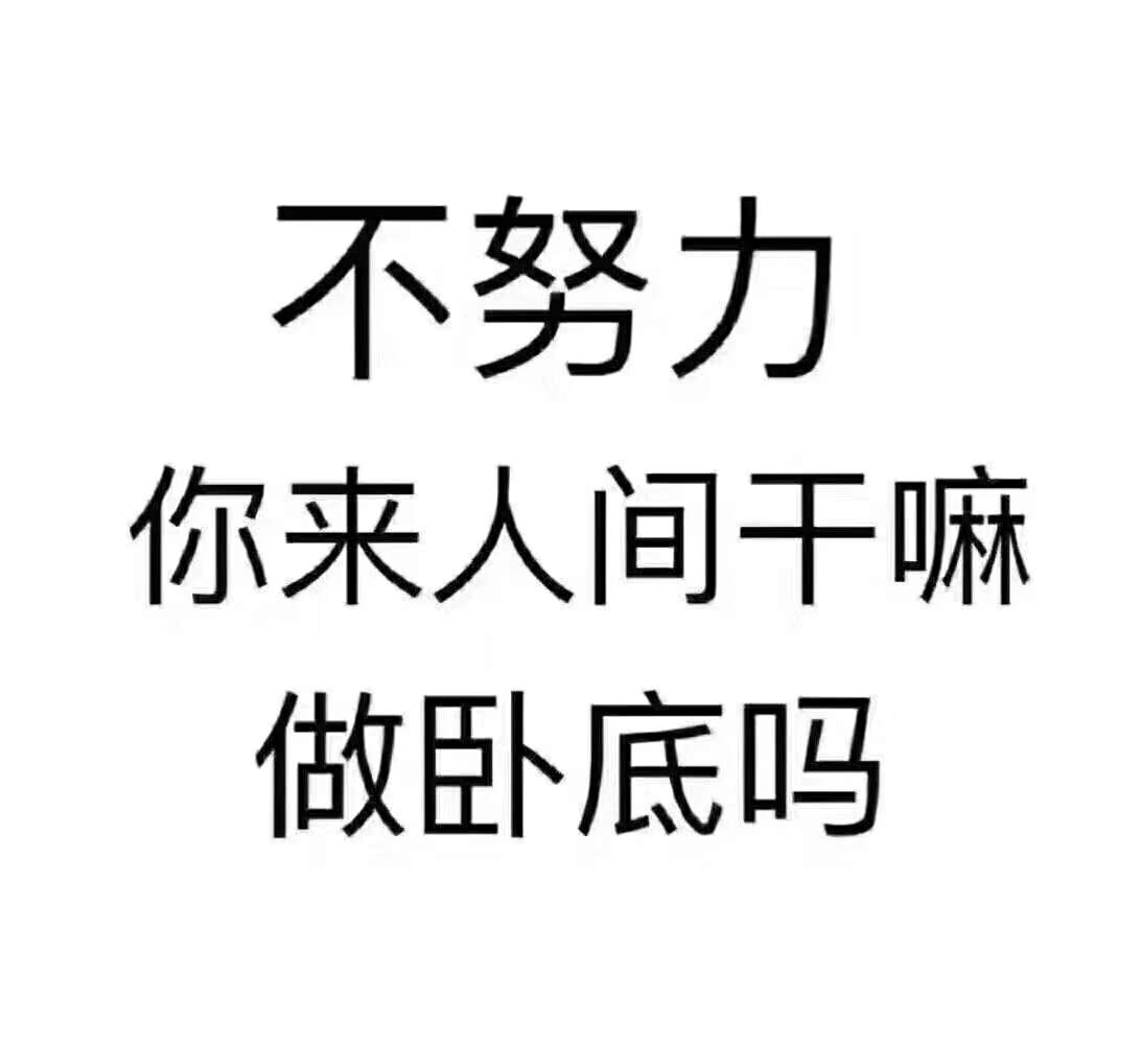 20190408_889071_1554692562193.jpg