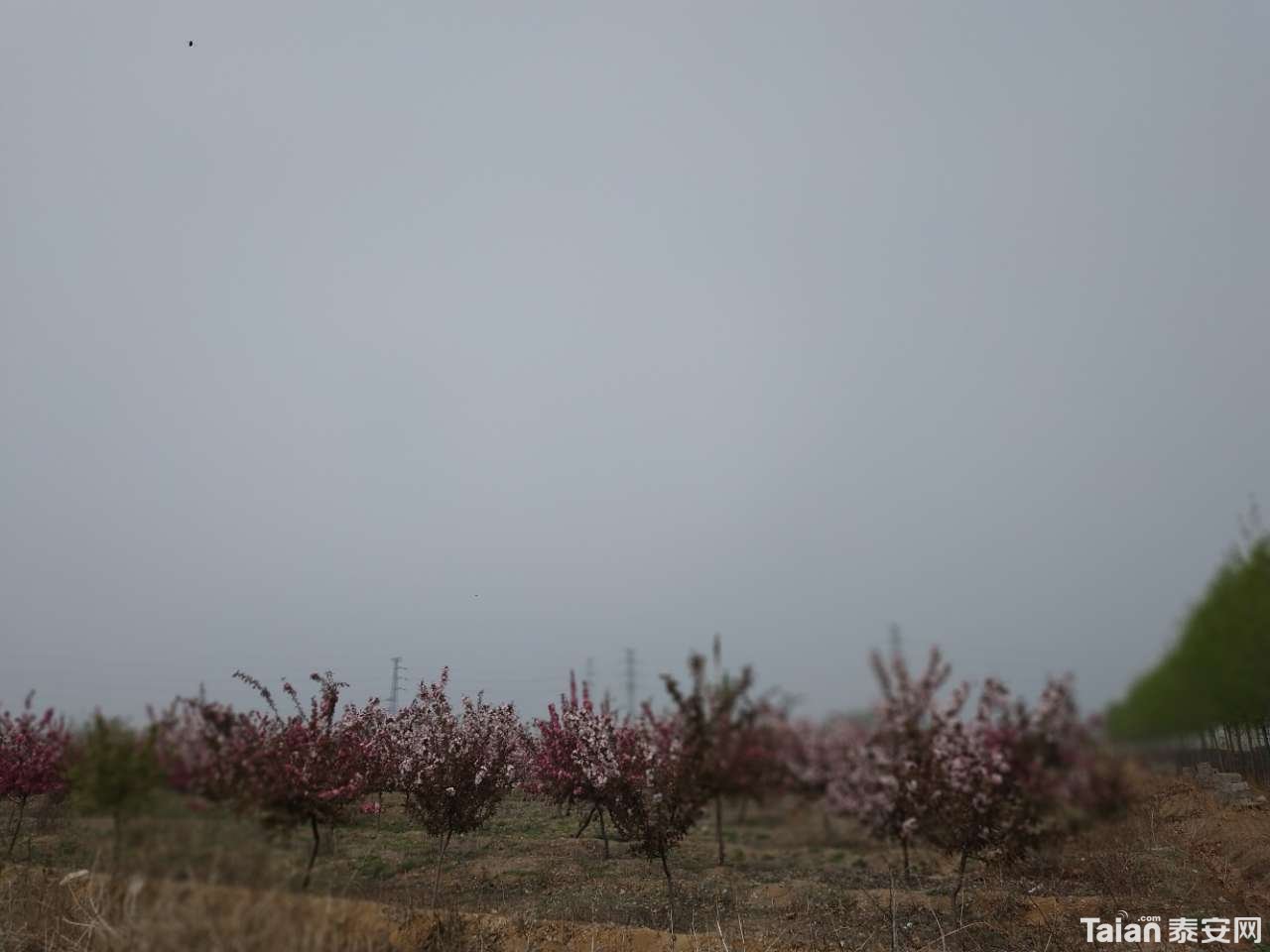 20190409_882721_1554775345184.jpg