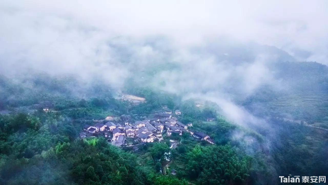 20190409_889071_1554809549878.png