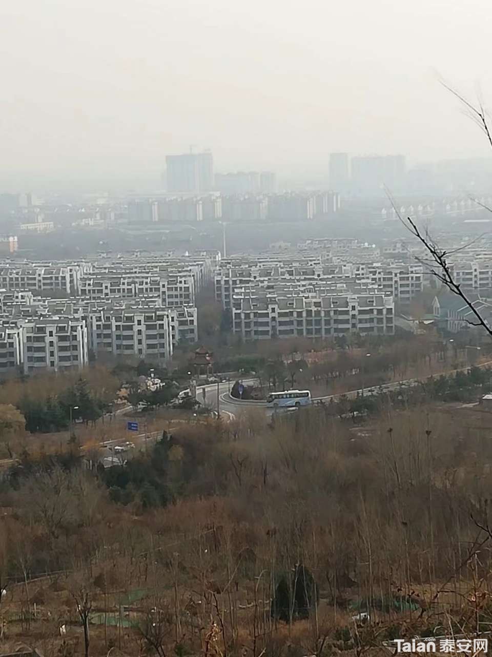 20190414_873967_1555220044693.jpg