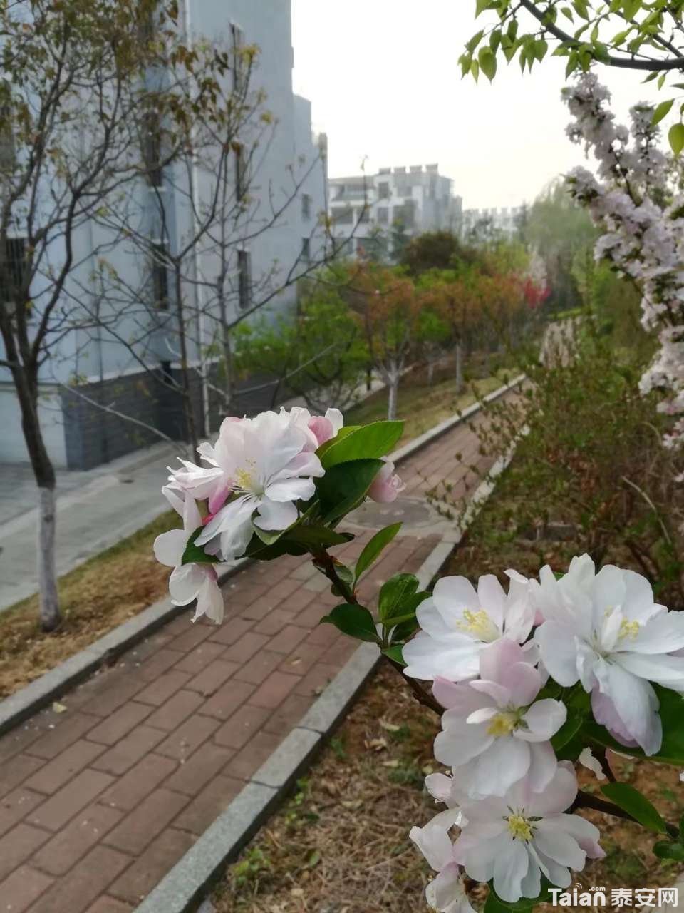 20190414_873967_1555220045124.jpg